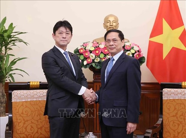 Foreign Minister lauds progress of Vietnam - Japan cooperation
